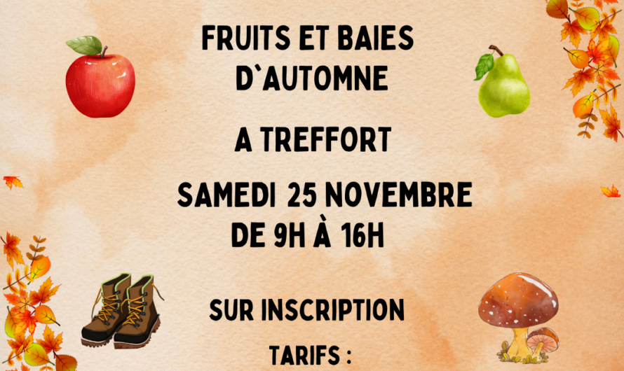 Sortie marche à Treffort “Fruits et baies d’autombe : Samedi 25 Novembre à 9h