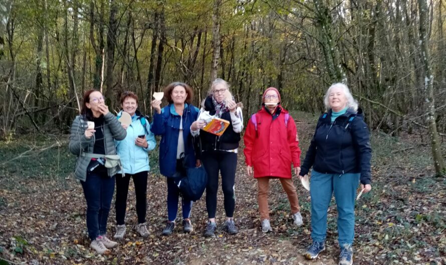 Retour en images sur la sortie marche à Marlieux du jeudi 16 novembre